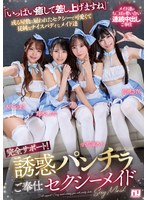 完全サポート!誘惑パンチラご奉仕セクシーメイド